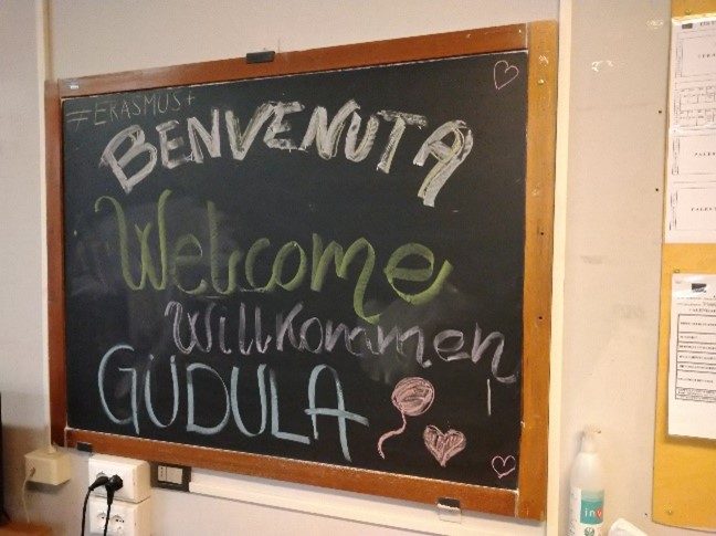 Bild2